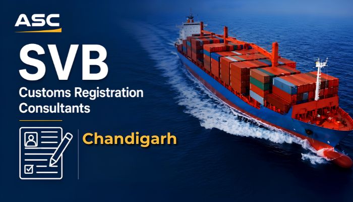 SVB Customs Registration Consultants Chandigarh